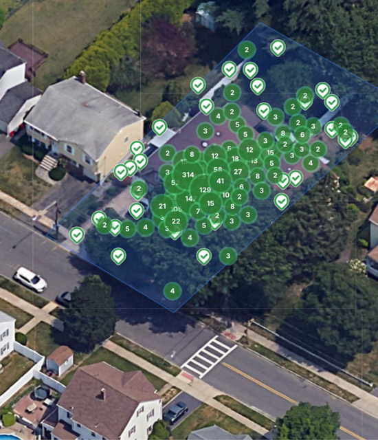 Suburban neighborhood