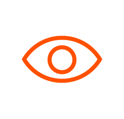 eye